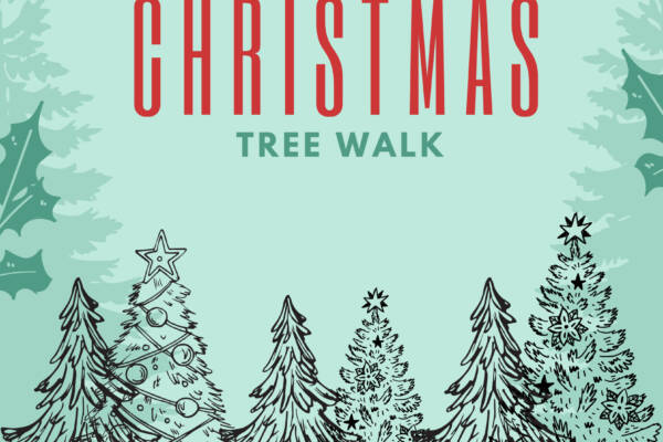 Copy of Tree walk